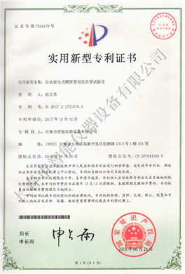 放電電擊穿實用新型專利ZL 2017 2 1731210.3